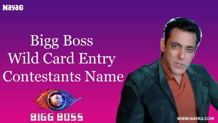 Bigg Boss 16 Wild Card Entry : Contestants Name