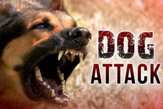 Dog Attack in Milton Keynes
