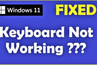 Windows 11 Keyboard Not Working