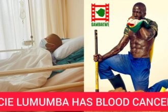 Acie Lumumba Latest News